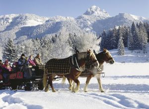Bild 14: KOMFORT-FEWO Tiroler Lechtal - am Skilift/Loipe - ruhige Lage