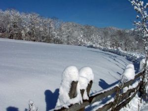 Bild 19: KOMFORT-FEWO Tiroler Lechtal - am Skilift/Loipe - ruhige Lage