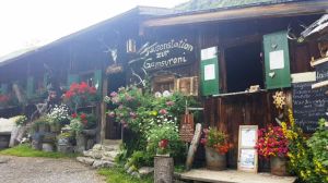 Bild 42: KOMFORT-FEWO Tiroler Lechtal - am Skilift/Loipe - ruhige Lage