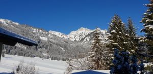 Bild 7: KOMFORT-FEWO Tiroler Lechtal - am Skilift/Loipe - ruhige Lage