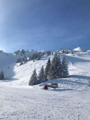 Bild 5: KOMFORT-FEWO Tiroler Lechtal - am Skilift/Loipe - ruhige Lage