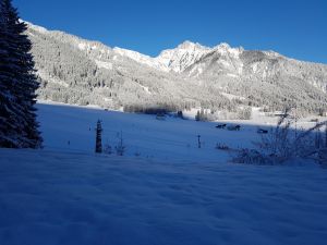 Bild 15: KOMFORT-FEWO Tiroler Lechtal - am Skilift/Loipe - ruhige Lage