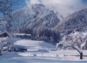 Bild 6: KOMFORT-FEWO Tiroler Lechtal - am Skilift/Loipe - ruhige Lage