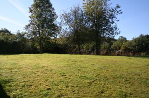 Bild 11: F116k herrlich gelegenes Ferienhaus Turi mit eingezäunten Garten