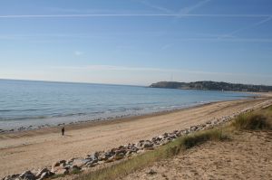 Bild 16: F116k herrlich gelegenes Ferienhaus Turi mit eingezäunten Garten