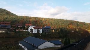 Bild 23: 3 Sterne (dtv) Ferienwohnung Amselnest mit Garage - mitten im Pfälzer Wald