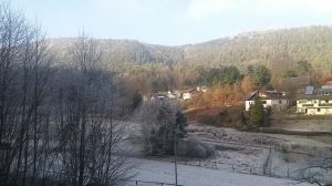 Bild 24: 3 Sterne (dtv) Ferienwohnung Amselnest mit Garage - mitten im Pfälzer Wald
