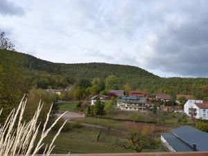 Bild 21: 3 Sterne (dtv) Ferienwohnung Amselnest mit Garage - mitten im Pfälzer Wald