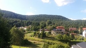 Bild 18: 3 Sterne (dtv) Ferienwohnung Amselnest mit Garage - mitten im Pfälzer Wald