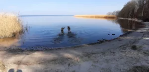 Bild 15: P104a Ferienhaus Mikosch mit eingezäunten Garten fußläufig zum Wasser