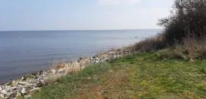 Bild 13: P104a Ferienhaus Mikosch mit eingezäunten Garten fußläufig zum Wasser