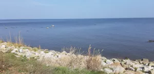 Bild 14: P104a Ferienhaus Mikosch mit eingezäunten Garten fußläufig zum Wasser