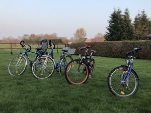 Bild 25: Ferienhaus Wiekenhuus Luise Wiesmoor / Ostfriesland