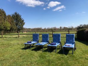 Bild 24: Ferienhaus Wiekenhuus Luise Wiesmoor / Ostfriesland