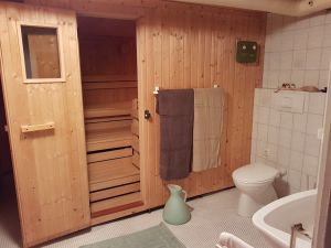 zweites Badezimmer mit Sauna und Dusche