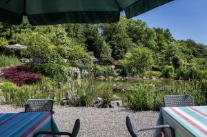 Bild 25: Klaushausen - Ferienhaus RUSTICO