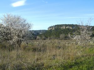 Bild 22: Les Mers du Sud M8 Gruissan