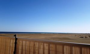 Bild 3: Les Mers du Sud M8 Gruissan