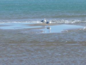 Bild 18: Les Mers du Sud M8 Gruissan