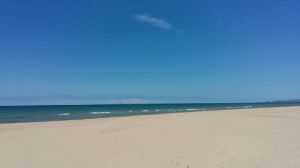 Bild 25: Les Mers du Sud M8 Gruissan