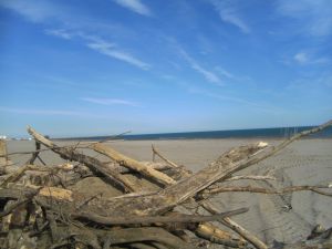 Bild 17: Les Mers du Sud M8 Gruissan