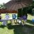 Galeriebild 1