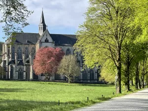 Bild 14: Ferienwohnung im Städtedreieck Köln-Bergisch Gladbach-Leverkusen