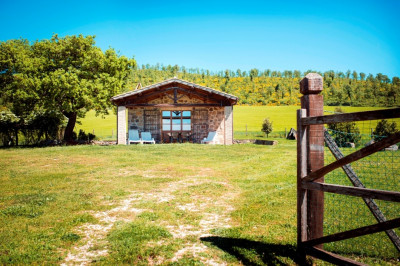 Bild: I1Bo01 ein echter Geheimtipp: Ferienhaus am Bolsenasee