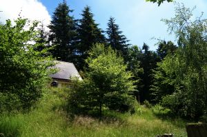 das große Grundstück (1.100 qm) ist komplett eingezäunt