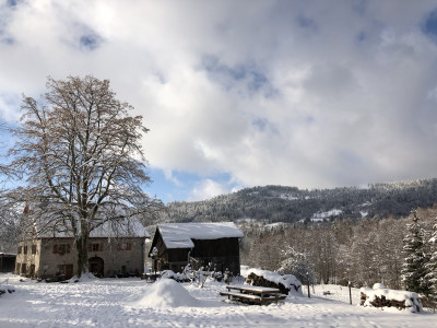 Ferienhaus in Ramonchamp: Urlaub auf den Bauernhof in den Vogesen