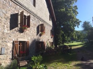 Bild 17: Urlaub auf den Bauernhof in den Vogesen