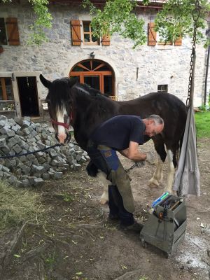 Bild 16: Urlaub auf den Bauernhof in den Vogesen