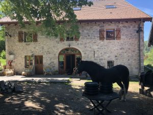 Manchmal lauft Sie frei rund, sie ist aber auch sehr freundlich.