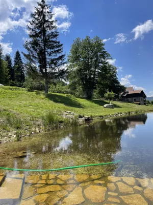 Bild 27: Urlaub auf den Bauernhof in den Vogesen