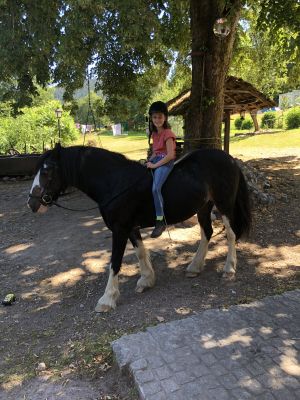 Kinder könnten gerne mithelfen die Molly und andere Tiere zu versorgen zusammen mit Silke und Kjeld.