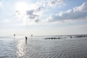 Ruhe und Entspannung am Wasser.