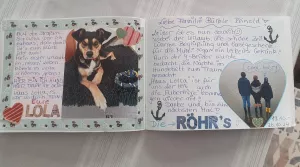 Bild 37: freistehendes Ferienhaus mit Hund bis 6 Pers. an der ostfriesischen Nordsee