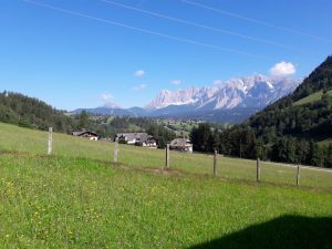 Sommer grüne Wiesen Im Sommer zeigt sich die Natur in Schladming in besonders saftigem grün, es ist die Zeit um das Draußen sein zu genießen.