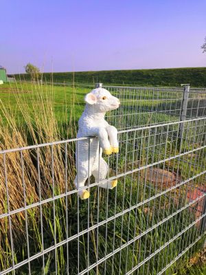 Bild 28: Ferienhaus Mia, eingezäunter Garten / fast Alleinlage / 4-5 Hunde