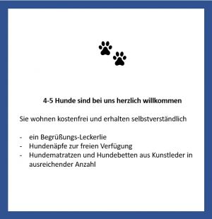 Bild 30: Ferienhaus Mia, eingezäunter Garten / fast Alleinlage / 4-5 Hunde