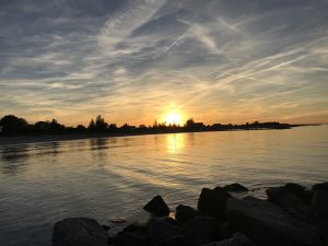 Bild 11: Ferienhaus Sonnenschein für 2-6 Personen, sehr gerne auch mit Hund