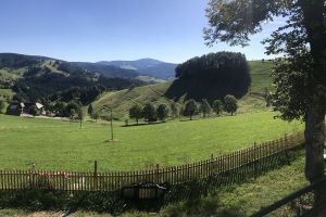 Bild 32: 4 Sterne Ferienwohnung Schwarzwaldparadies in sonniger Gartenlage.