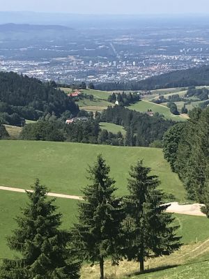 Bild 31: 4 Sterne Ferienwohnung Schwarzwaldparadies in sonniger Gartenlage.