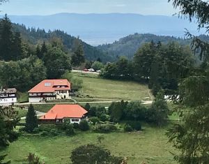 Bild 4: 4 Sterne Ferienwohnung Schwarzwaldparadies in sonniger Gartenlage.