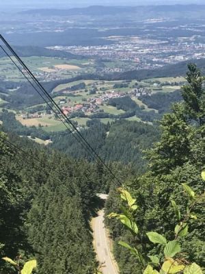 Bild 10: 4 Sterne Ferienwohnung Schwarzwaldparadies in sonniger Gartenlage.