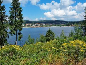 Bild 3: 4 Sterne Ferienwohnung Schwarzwaldparadies in sonniger Gartenlage.