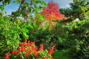 Bild 25: 4 Sterne Ferienwohnung Schwarzwaldparadies in sonniger Gartenlage.