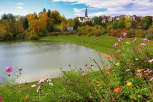 Bild 33: 4 Sterne Ferienwohnung Schwarzwaldparadies in sonniger Gartenlage.