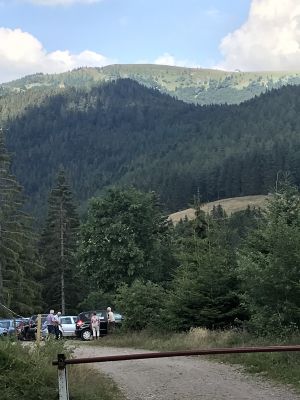 zweithöchster Berg im Schwarzwald