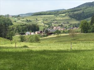 Wiese, Wiese